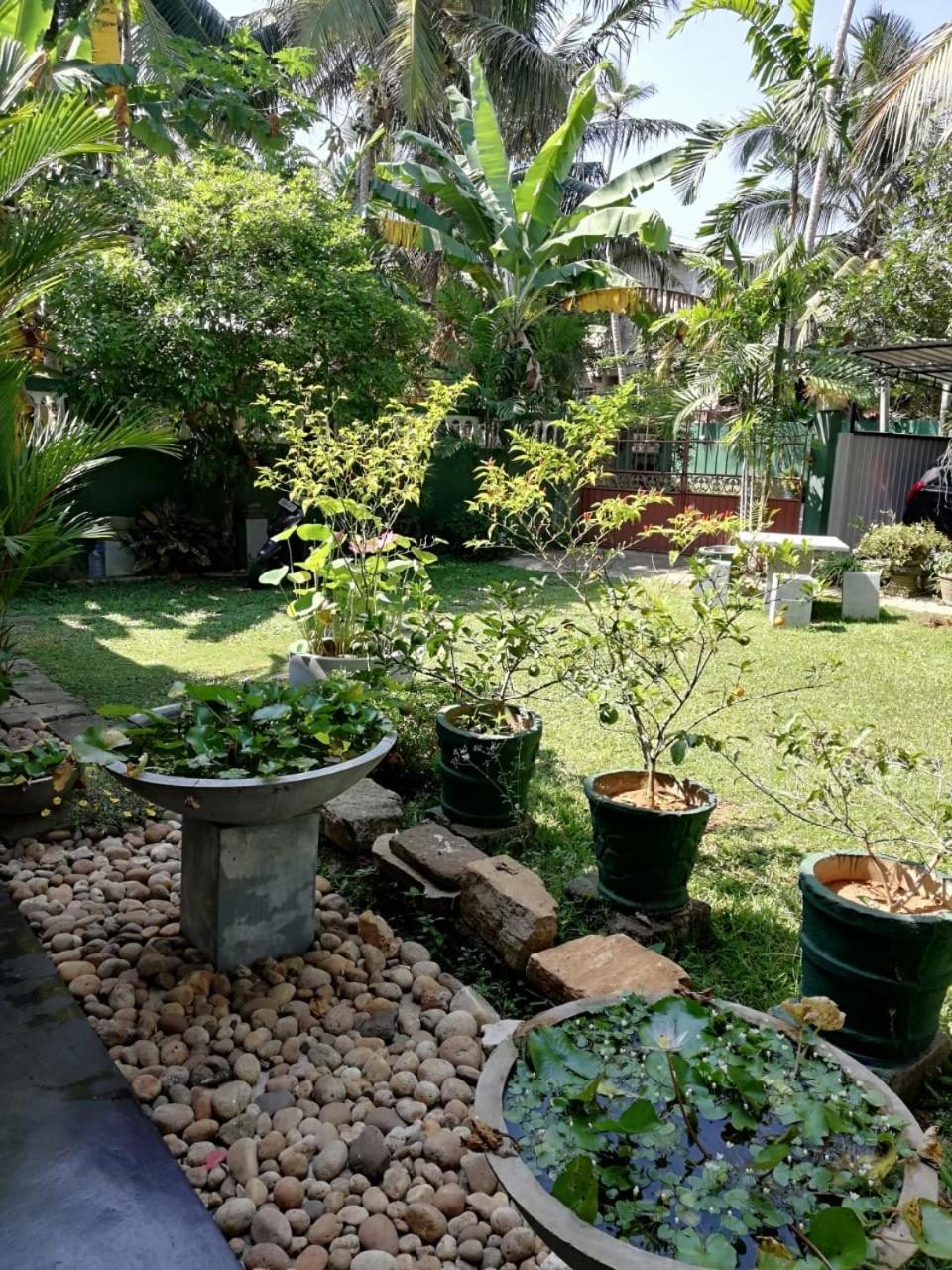 Serenity Villa Hikkaduwa Zewnętrze zdjęcie